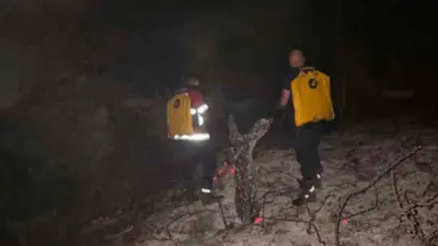 Kosova’nın Prizren şehri yakınlarında çıkan orman yangını, itfaiye ekiplerinin yaklaşık
