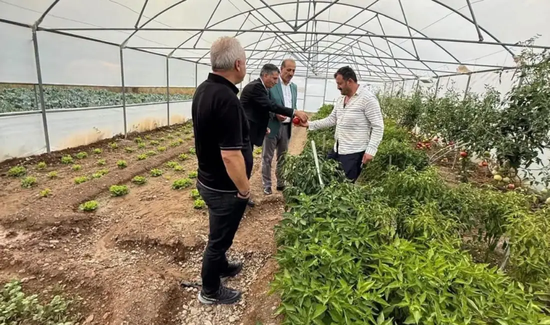 Bayburt’ta etkili olan şiddetli dolu yağışından zarar gören Eko-Köy’de üretim