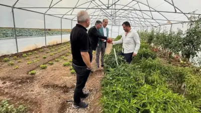 Bayburt’ta etkili olan şiddetli dolu yağışından zarar gören Eko-Köy’de üretim