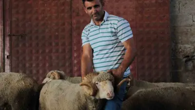 Balıkesir’in Bandırma ilçesindeki Bandırma Koyunculuk Araştırma Enstitüsü bünyesinde gerçekleştirilen açık