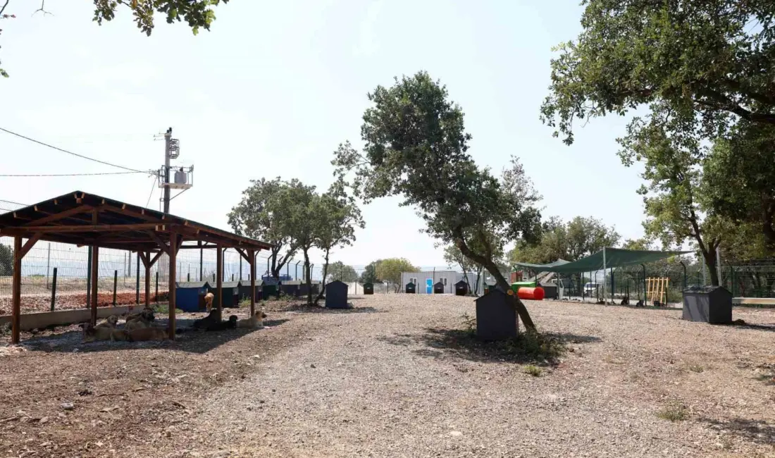 Nilüfer Belediyesi, Karacaoba Mahallesi’nde 49 bin 500 metrekarelik alanda hizmet