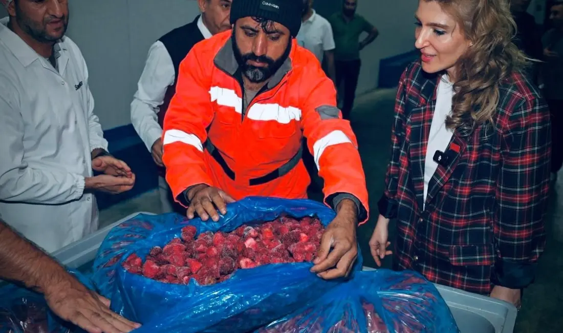 AK Parti Malatya Milletvekili İnanç Siraç Kara Ölmeztoprak, Malatya 1.