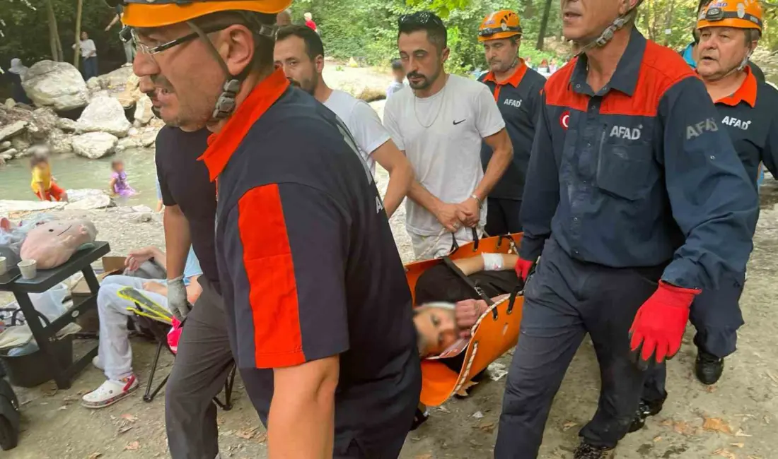 Bursa’nın Nilüfer ilçesinde ormanlık alanda yürüyüş yapan kişi, dengesini kaybederek