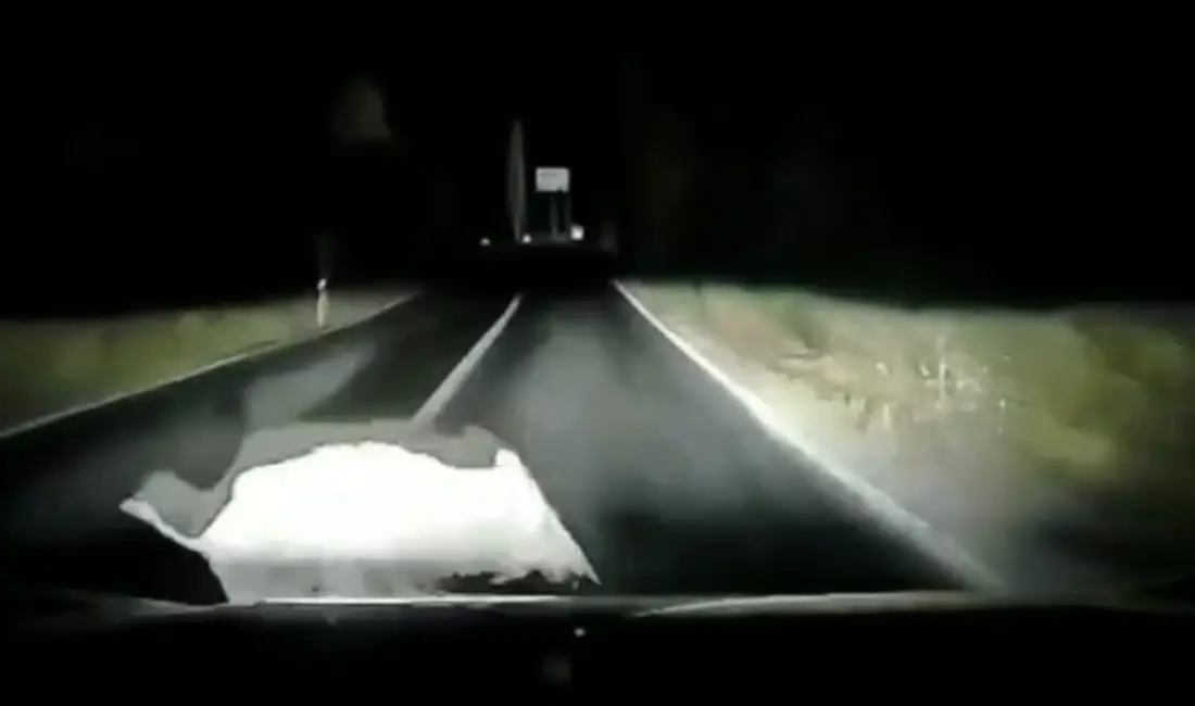 Bursa’nın Orhangazi ilçesinde İznik Güney yolu üzerinde Sölöz Mahallesi yakınlarında
