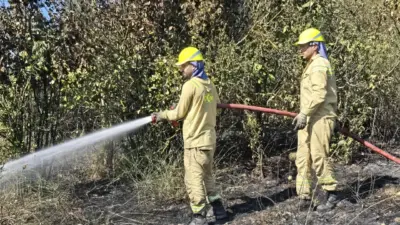 Bursa’nın Mudanya ilçesinde tarım arazisinde çıkan yangın, ekiplerin zamanında müdahalesiyle
