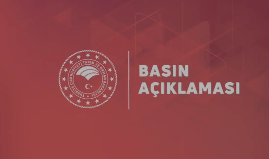 TMO 2026/27 sezonu fındık alım fiyatlarını açıkladı. Giresun kalite 255