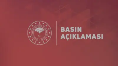 TMO 2026/27 sezonu fındık alım fiyatlarını açıkladı. Giresun kalite 255