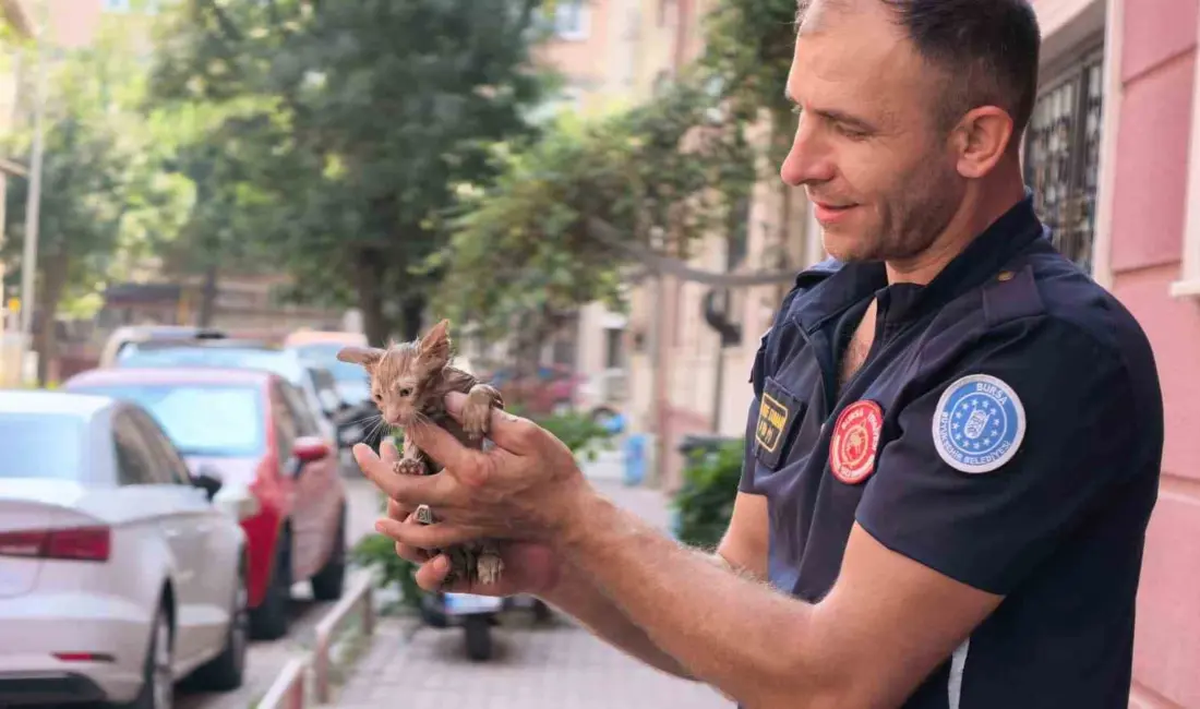 Bursa’nın İnegöl ilçesinde apartmanın yağmur suyu gider borusuna sıkışan yavru