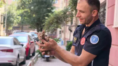 Bursa’nın İnegöl ilçesinde apartmanın yağmur suyu gider borusuna sıkışan yavru