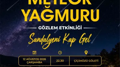 Yenişehir Belediyesi, yılın en dikkat çekici gökyüzü olaylarından Perseid Meteor