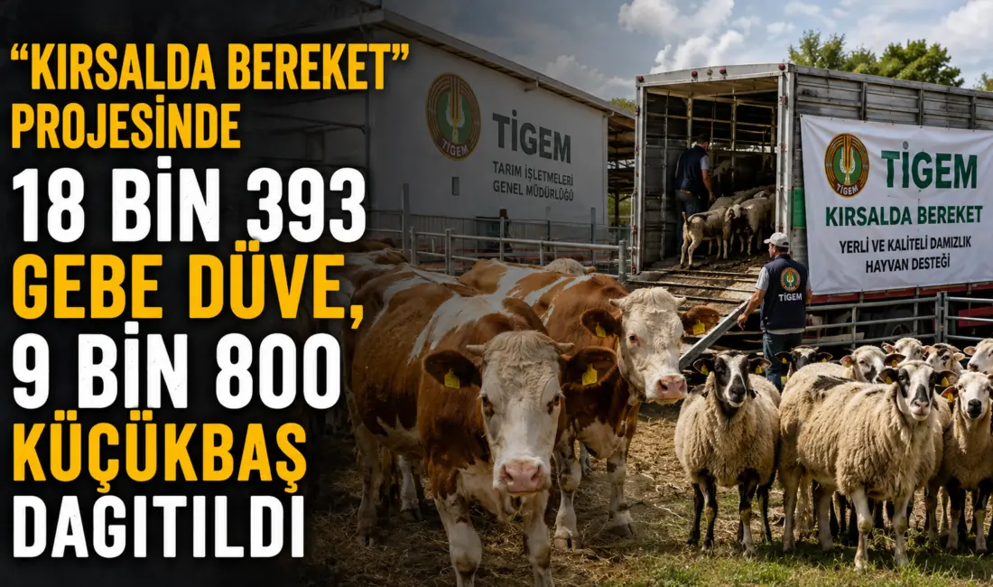 Tarım İşletmeleri Genel Müdürlüğü (TİGEM), “Kırsalda Bereket” projesi kapsamında yerli