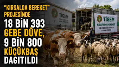 Tarım İşletmeleri Genel Müdürlüğü (TİGEM), “Kırsalda Bereket” projesi kapsamında yerli