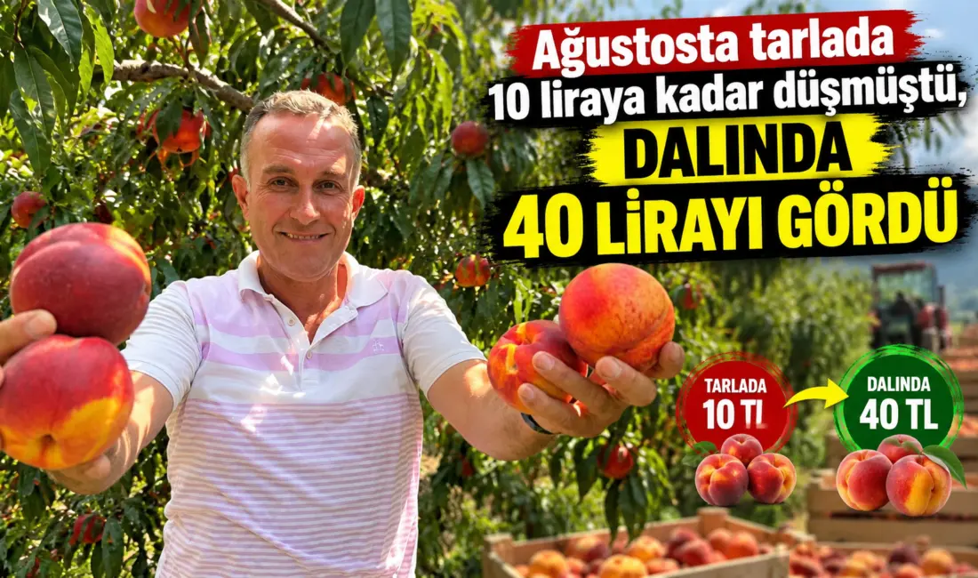 Türkiye’nin şeftali ve nektarin üretiminde önde gelen merkezlerinden Bursa’nın Gürsu