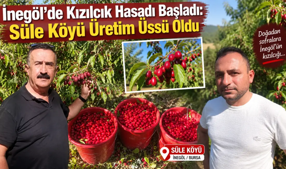 İnegöl Ziraat Odası Başkanı Sezai Çelik, Süle Mahallesi'nde devam eden