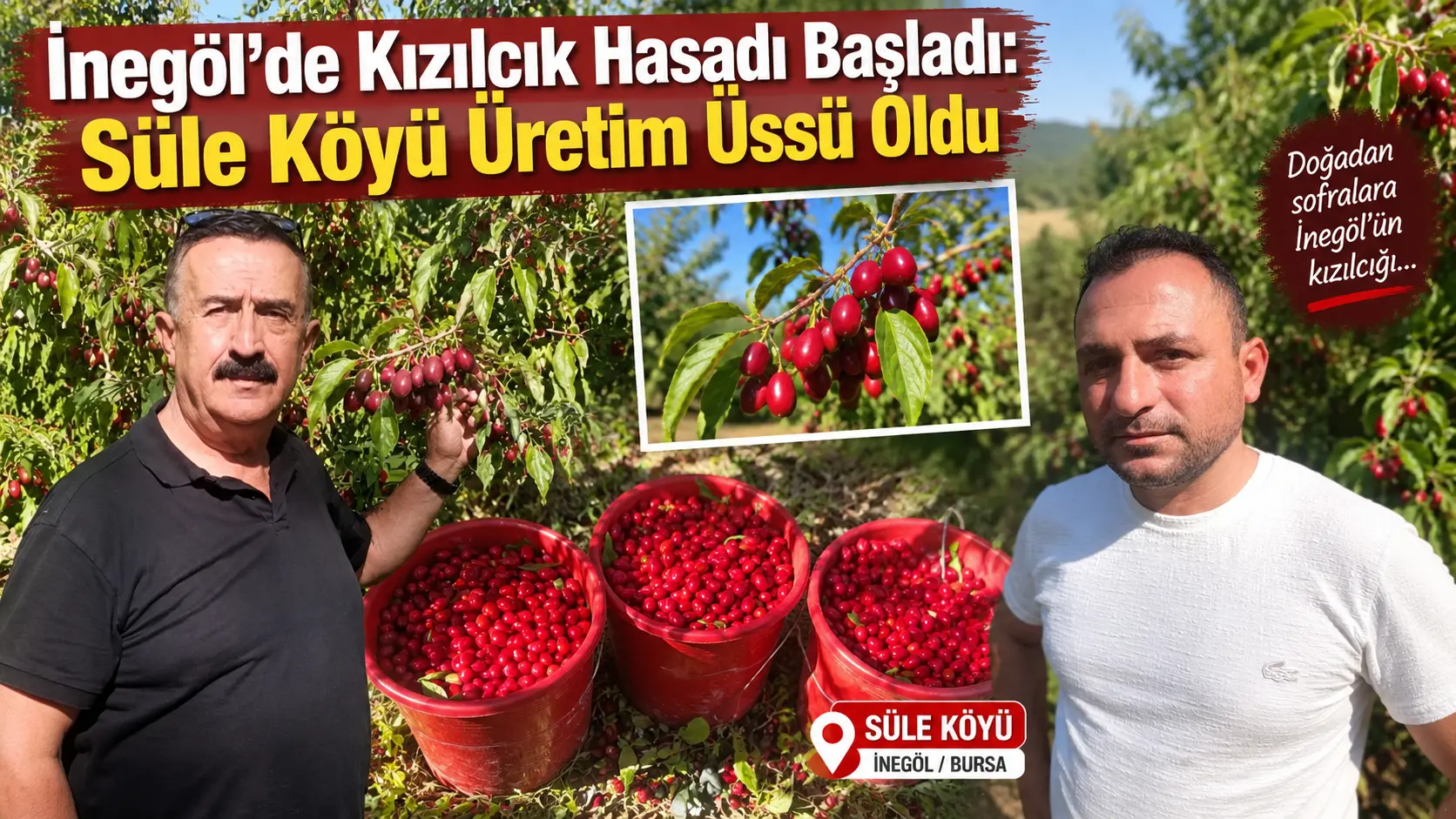 İnegöl Ziraat Odası Başkanı Sezai Çelik, Süle Mahallesi'nde devam eden
