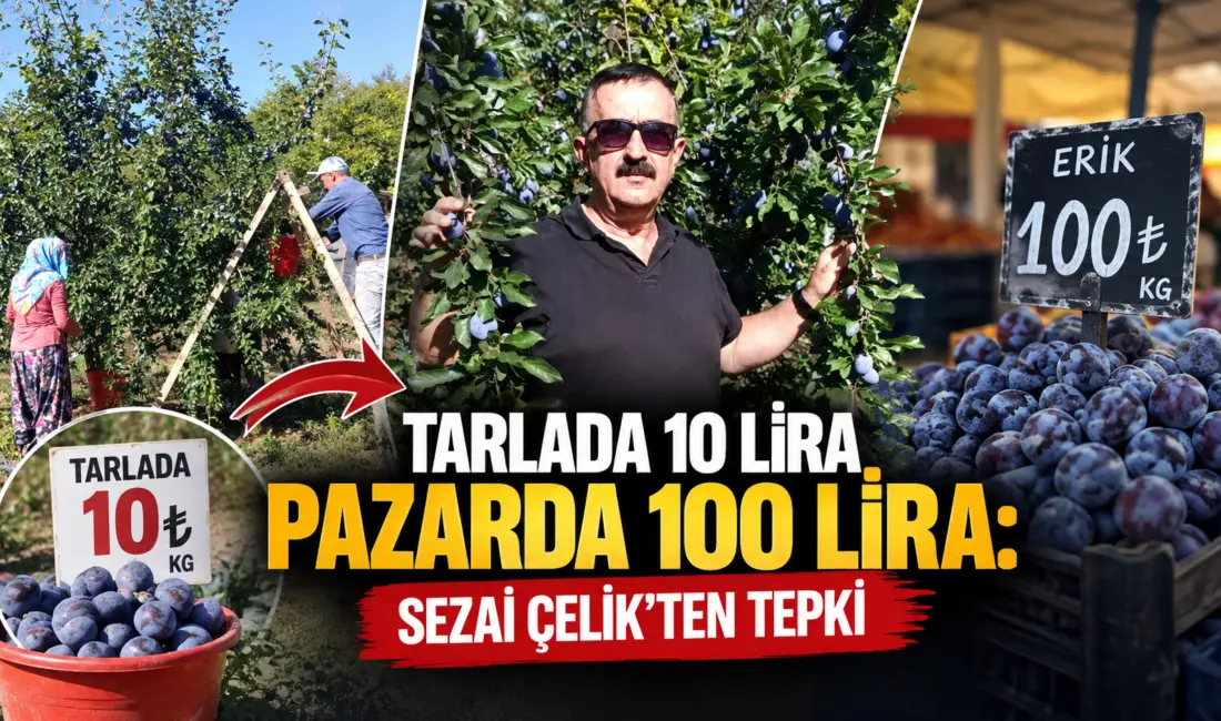 İnegöl Ziraat Odası Başkanı Sezai Çelik, Kayapınar Mahallesi'nde devam eden