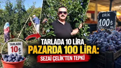 İnegöl Ziraat Odası Başkanı Sezai Çelik, Kayapınar Mahallesi'nde devam eden