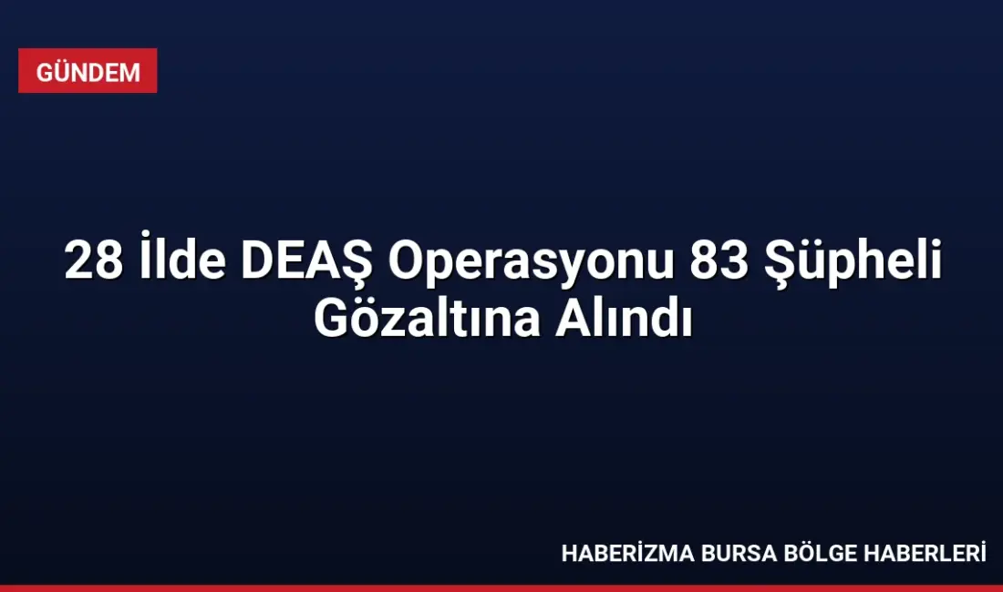 Jandarma ekiplerinin 28 ilde düzenlediği operasyonlarda DEAŞ üyesi olduğu belirlenen