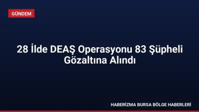 Jandarma ekiplerinin 28 ilde düzenlediği operasyonlarda DEAŞ üyesi olduğu belirlenen