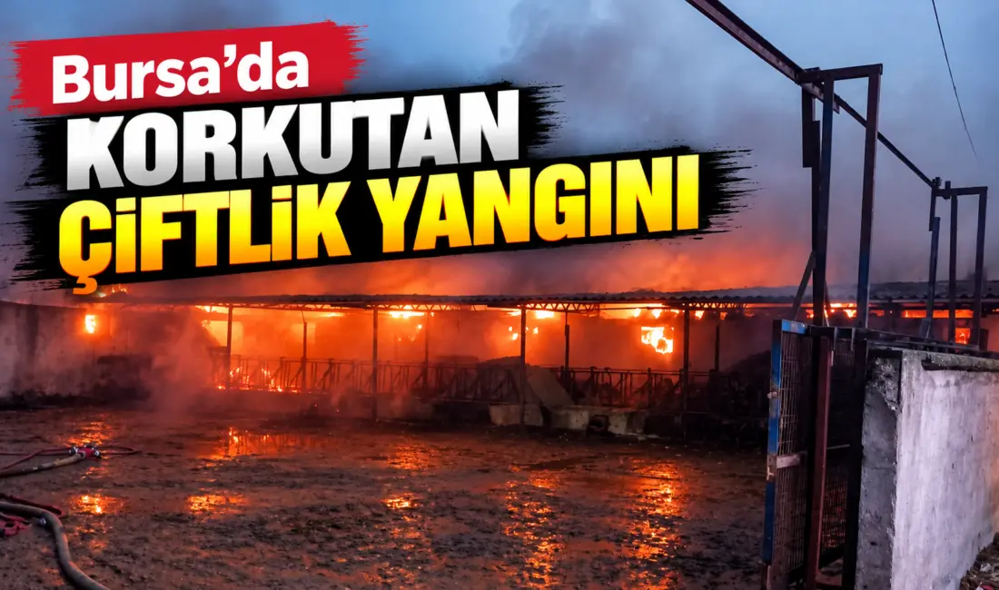 Bursa’nın Mustafakemalpaşa ilçesinde bir çiftliğin samanlık bölümünde çıkan yangında yaklaşık