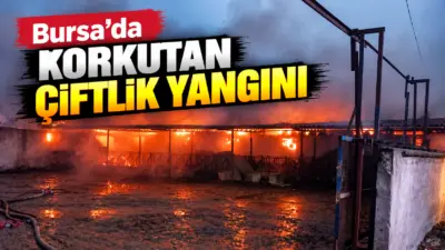 Bursa’nın Mustafakemalpaşa ilçesinde bir çiftliğin samanlık bölümünde çıkan yangında yaklaşık