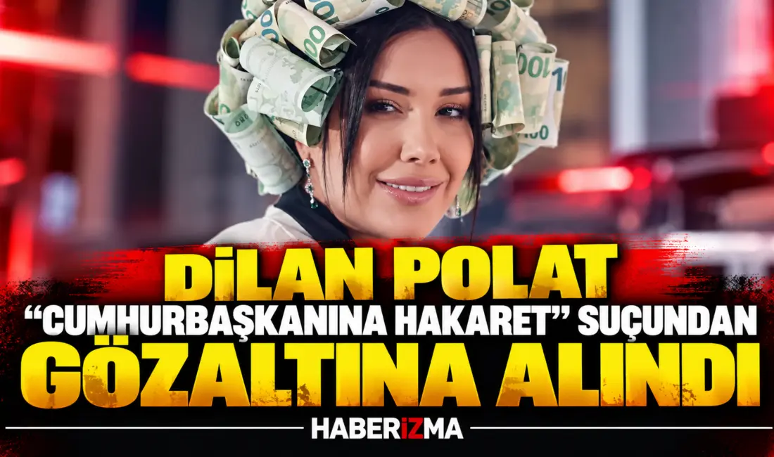 Dilan Polat “Cumhurbaşkanına hakaret” suçundan gözaltına alındı. Polat, savcılıkta ifade