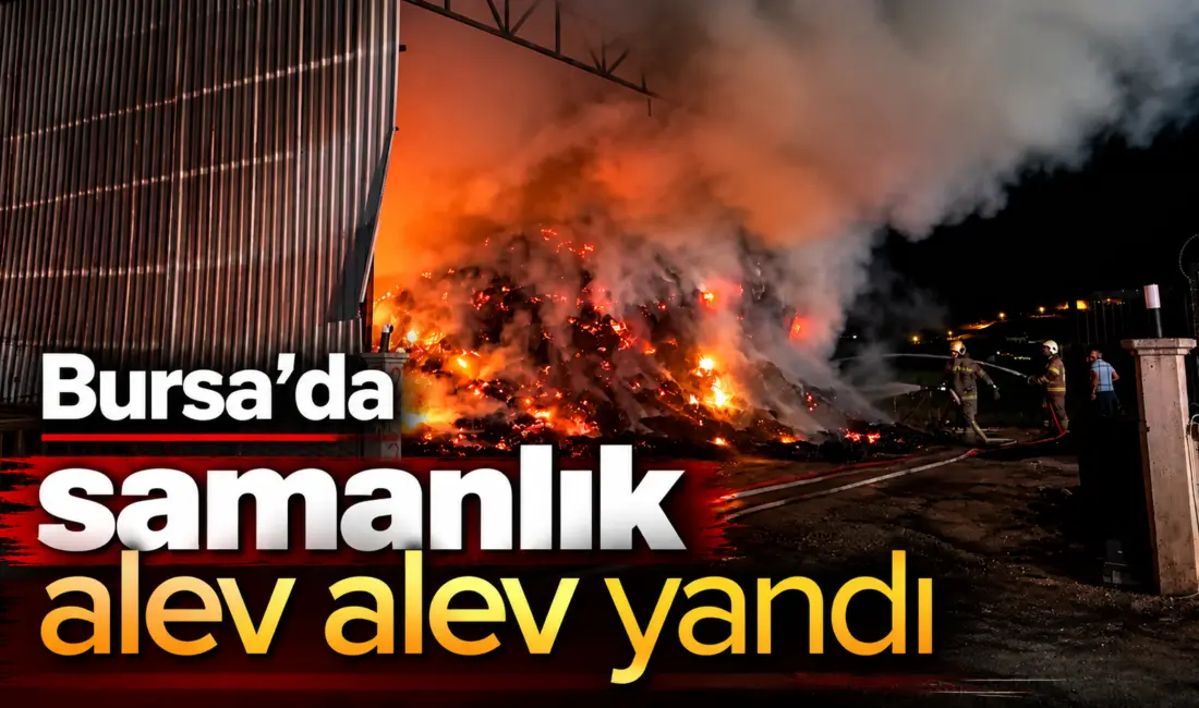 Bursa’nın Kestel ilçesinde samanlıkta çıkan yangın, itfaiye ekiplerin müdahalesiyle söndürüldü.