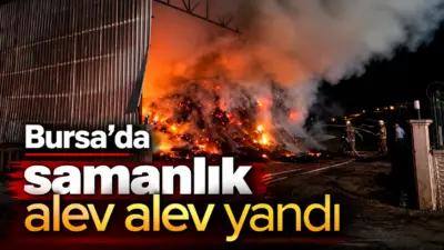 Bursa’nın Kestel ilçesinde samanlıkta çıkan yangın, itfaiye ekiplerin müdahalesiyle söndürüldü.
