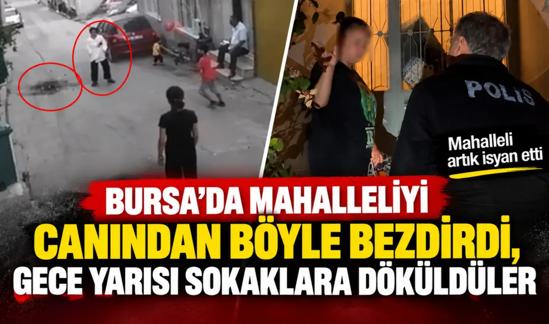 Bursa’da bir evde çok sayıda kedi ve köpek besleyen kadının