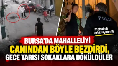 Bursa’da bir evde çok sayıda kedi ve köpek besleyen kadının