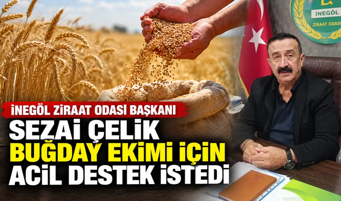 İnegöl Ziraat Odası Başkanı Sezai Çelik, hububat ekimine 1 ay