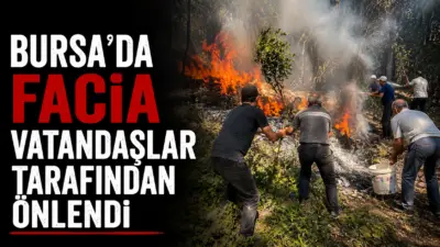 Bursa’nın Keles ilçesinde ormanlık alanda başlayan yangın, mahalle sakinlerinin dikkati