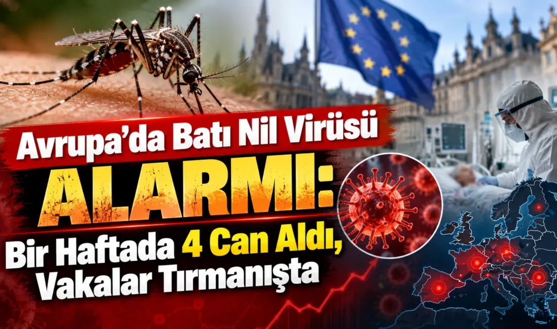 Küresel iklim değişikliği ve sıcaklık artışıyla birlikte Avrupa kıtasında kalıcı