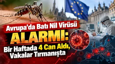 Küresel iklim değişikliği ve sıcaklık artışıyla birlikte Avrupa kıtasında kalıcı