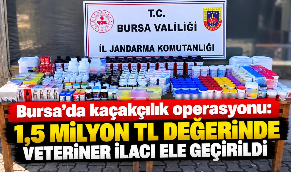 Bursa’nın Gürsu ilçesinde jandarma ekiplerince düzenlenen operasyonda piyasa değeri yaklaşık