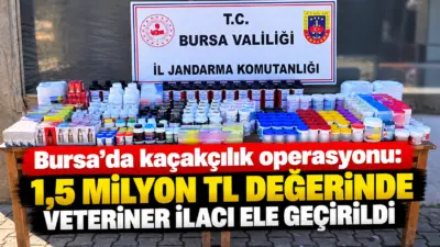 Bursa’nın Gürsu ilçesinde jandarma ekiplerince düzenlenen operasyonda piyasa değeri yaklaşık
