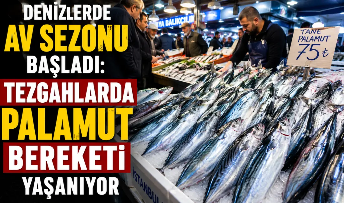 Denizlerde 15 Nisan'da başlayan genel av yasağının 1 Eylül itibarıyla