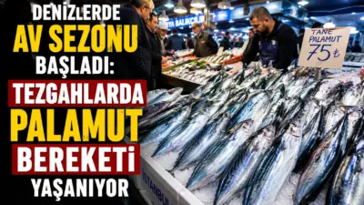 Denizlerde 15 Nisan'da başlayan genel av yasağının 1 Eylül itibarıyla