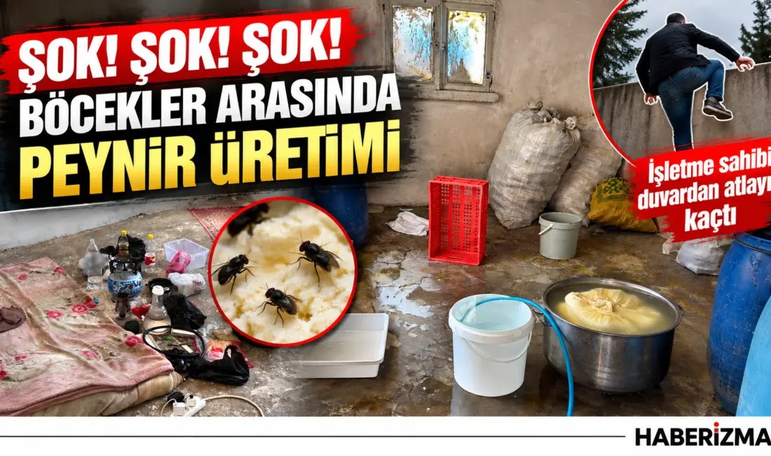 Kilis’te peynir ve yoğurt üretimi gerçekleştiren imalathanede yapılan denetimde, böcekler
