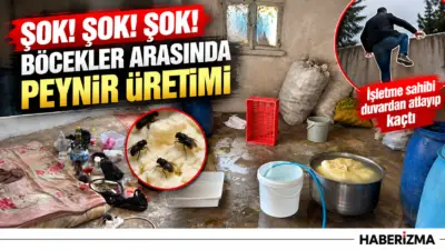 Kilis’te peynir ve yoğurt üretimi gerçekleştiren imalathanede yapılan denetimde, böcekler