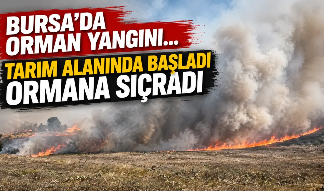 Bursa’nın Büyükorhan ilçesi Danacılar köyü yakınlarında tarım alanlarında çıkan yangın