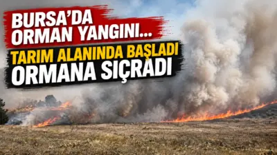 Bursa’nın Büyükorhan ilçesi Danacılar köyü yakınlarında tarım alanlarında çıkan yangın