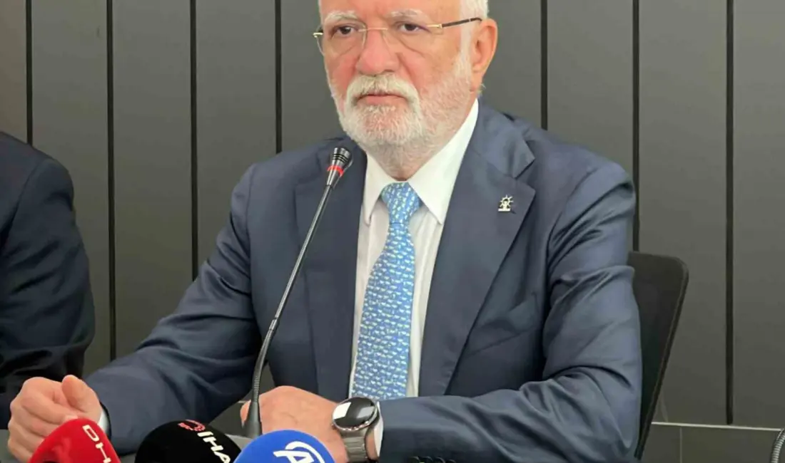 AK Parti Genel Başkanvekili Mustafa Elitaş, sivil toplum kuruluşları (STK)
