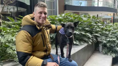 Avustralyalı teknoloji girişimcisi Paul Conyngham, kanser teşhisi konulan köpeği Rosie