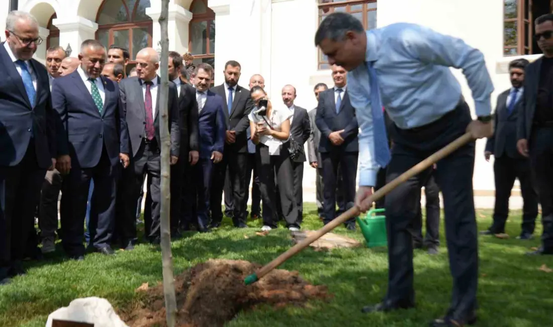 İçişleri Bakanı Mustafa Çiftçi, Bilecik Valiliği bahçesinde adını taşıyan çınar