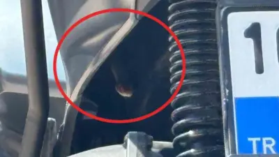 Bursa’nın İnegöl ilçesinde motosikletin içerisinden çıkan yılan, sürücüye korku dolu