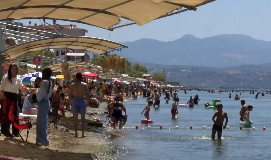 Deniz sezonunun bitmesine yakın Bursa’nın sahillerinden sevindiren haber geldi. Bursa’da