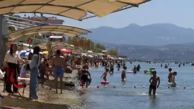 Deniz sezonunun bitmesine yakın Bursa’nın sahillerinden sevindiren haber geldi. Bursa’da