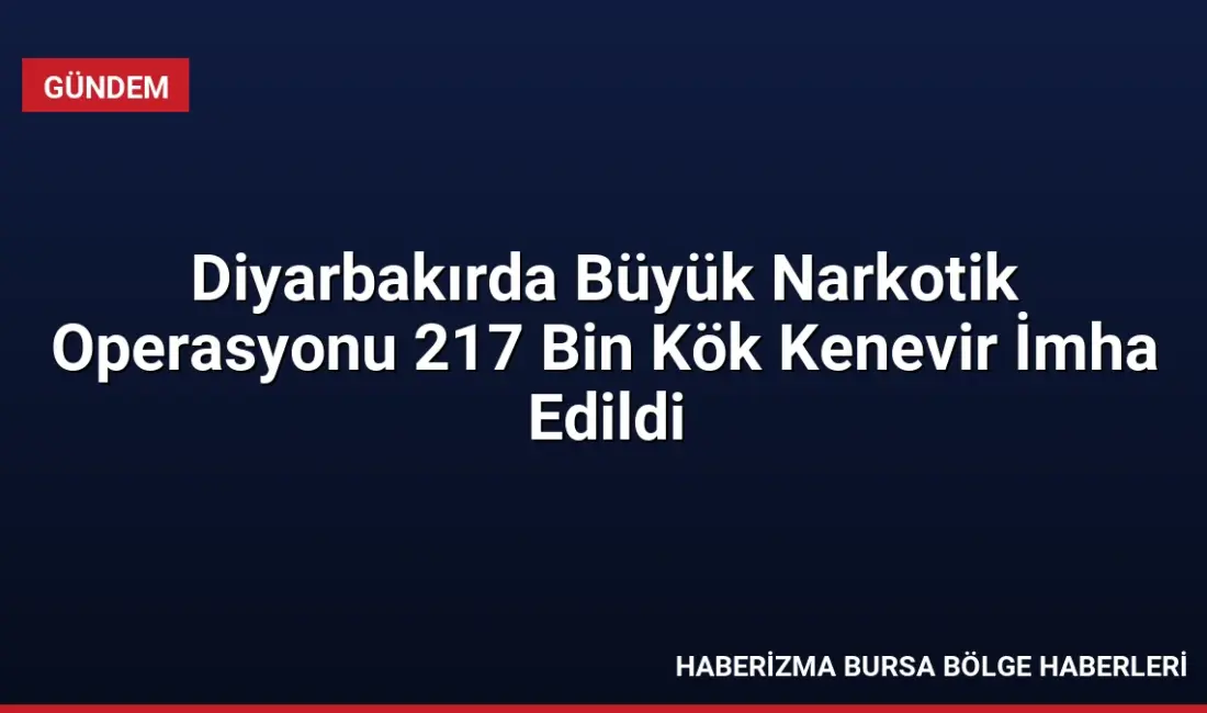 Diyarbakır'ın Lice ve Kulp ilçelerinde düzenlenen operasyonlarda 217 bin kök