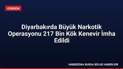 Diyarbakır'ın Lice ve Kulp ilçelerinde düzenlenen operasyonlarda 217 bin kök